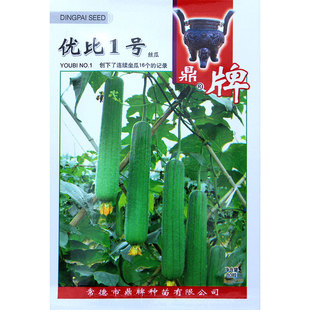 ����/����1/6̖��z�ϷN����ˮ������߮a�N���Ӵ����ļ��߲˷N��