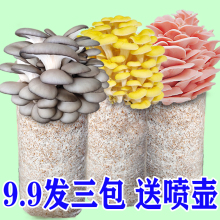 Ģ������С�W��������Nֲ�Ъ���ֲ�彩Ʒ��ͯ�����׃��@�Y��YƷ