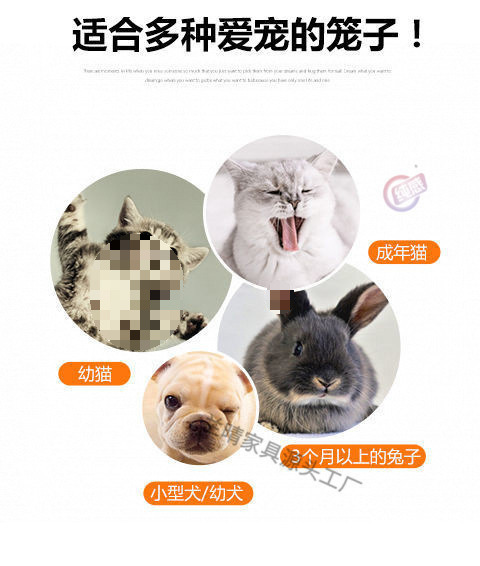 cde6c5a9-bfa9-4611-bc86-b9f7f3d363b6.jpe
