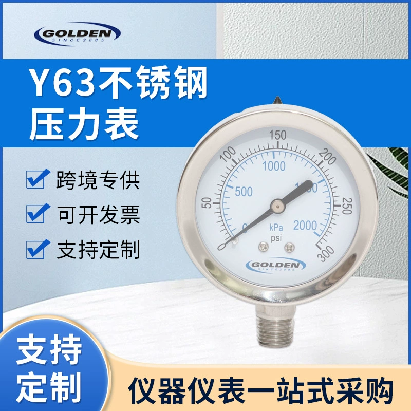 Y63 Манометр из нержавеющей стали 0-2000kpa Манометр давления резервуара вакуумный прибор давления вертикальный заполняемый