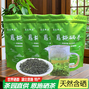 ���ƺ����G�賴�������N��2026�²��ʩ����G��ɢ�b���l���~