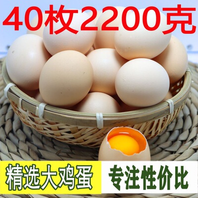 egg wholesale free range eggs Big be damaged Guarantee to pay compensations fresh rural Stocking free range eggs Backyard Countryside Farm Seckill