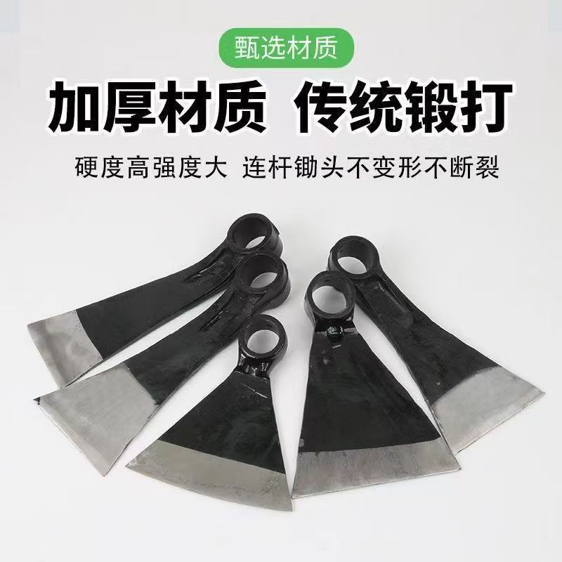 微信图片_202506251443366.jpg