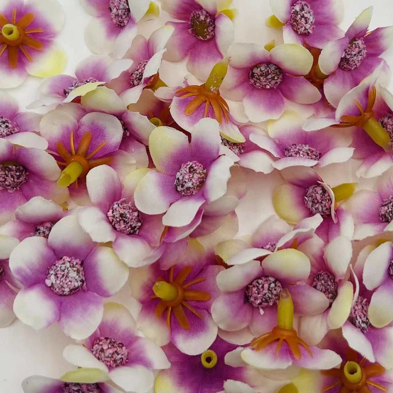 微信图片_202502271919253