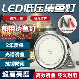 LED集鱼灯