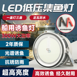 ��ˮ300W�͉����~��늊A�׹��������������ߏS�Ҵ��ô���led