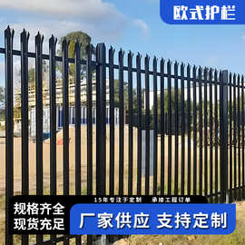 热镀锌欧式护栏W板D型金属锌钢栅栏杆Palisadefence铁艺尖桩围栏