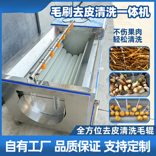 Water chestnut peanut ginger oyster commercial wool roller cleaning peeling machine sweet potato carrot potato potato peeling machine