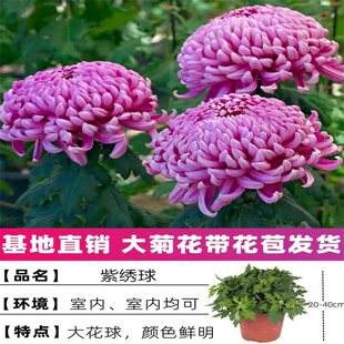 �����������ջ������Ի�����մ�ǧ�^ƹ�Ҿպ��B�ļ��_���҃���