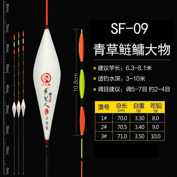 Old SF-09 triangle tail