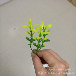 ����ֲ������ˮ�� 9���������ߌӹ��Ӳ� ��ƺ�ذ�� �辰С�����