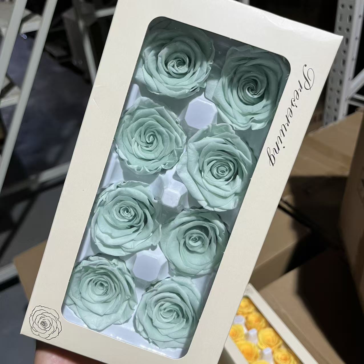 Cabeza de Rosa Preservada B+, 4-5 cm, Regalo para el Día de San Valentín Chino, Ramo de Flores Preservadas al por Mayor, Flores Secas para DIY, 520