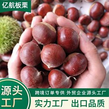 ̩�����������F؛ �������� �L�ں��� �������