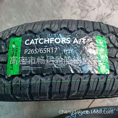Pickup Truck Off-Road Yolsuzluq şinləri