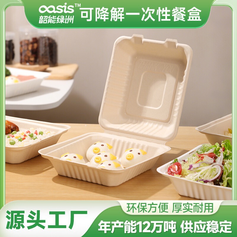 Shaolv Factory Wholesale Sugarcane Pulp Bamboo Pulp Disposable Eco-Friendly Tableware 8inch Lock Box Degradable and Compostable Shaolv Factory Wholesale Sugarcane Pulp Bamboo Pulp Disposable Eco-Friendly Tableware 8inch Lock Box Degradable and Compostable