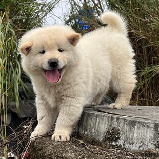 ���N�V������Ȯ��Ȯ���w���l ���^�Lë���ɪ{ ���B������A��@Ȯ