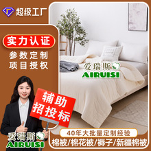 A类新疆长绒棉被芯子冬季单人双人棉絮棉被褥子加厚新款现货批发