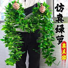 �ٗl�G�}�~���ϼٻ��b��҃ȾG����ֲ��٘��~�ڒ��ړ��G�~�ӿ羳