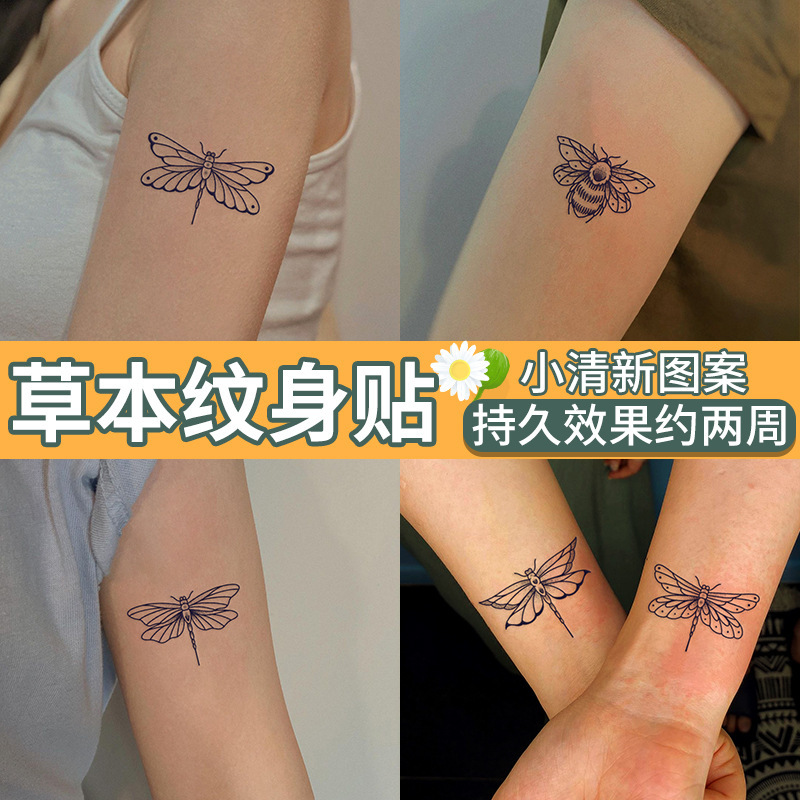 Dragonfly Bee Herbal Juice Tattoo Sticker Women's Small Fresh Scar Temporary Tattoo Not Reflective Waterproof Tattoo Sticker Dragonfly Bee Herbal Juice Tattoo Sticker Women's Small Fresh Scar Temporary Tattoo Not Reflective Waterproof Tattoo Sticker