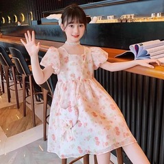 女の子の夏服のワンピース2025の新型の韓国版の洋気の子供の夏のスカートの女の子の中で大きい子供の王女のスカートの潮