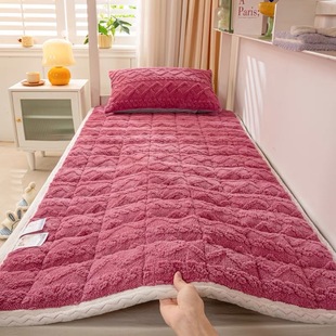 Winter Milk Velvet Mattress Home Student Cushion Dormitory Thickened Warm Mattress Single Double Tower Fleece Mattress