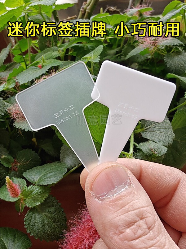 Mini Succulent Label Tags, T-Shaped Thickened Marking Cards for Phalaenopsis Orchids, Used for Seedling and Cutting Classification and Marking Mini Succulent Label Tags, T-Shaped Thickened Marking Cards for Phalaenopsis Orchids, Used for Seedling and Cutting Classification and Marking