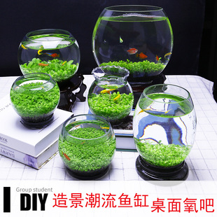 Micro-Landscape Glass Ecological Landscaping Bottle No-Maintenance DIY Fish Tank Water Grass Mud Hydroponic Plant Seed Package Wholesale