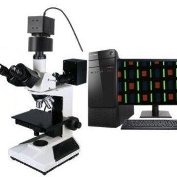 高精度金相显微镜 TMM-300 (正置、反射型)