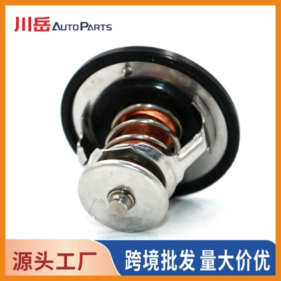 Thermostat for Toyota engine