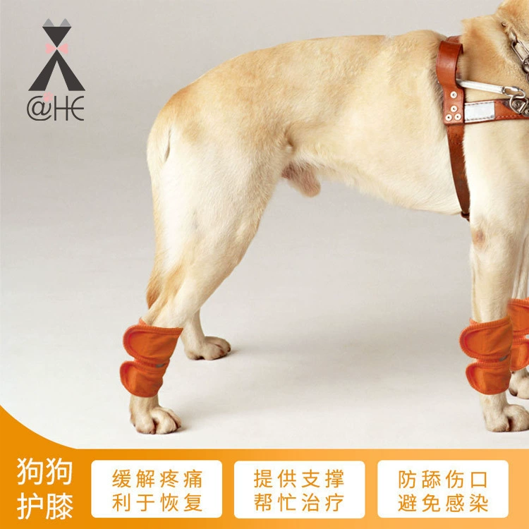 Amazon собака теплая коленная Скоба послеоперационная поддержка уход за ногой Расчалка коленный изоляционный ремешок производители оптом