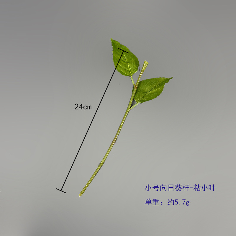 ローズの花をシミュレーションします。|undefined