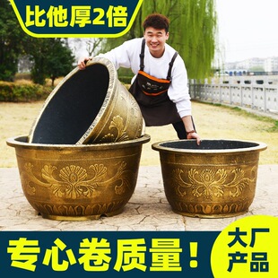 �ش�Ӻ����z����73cm����Nֲ���͘����F��ɻ���