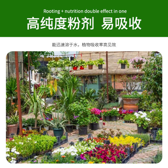 Factory plant rooting powder general seedling strengthening agent fleshy green rose flower cutting fast strong rooting powder rooting solution