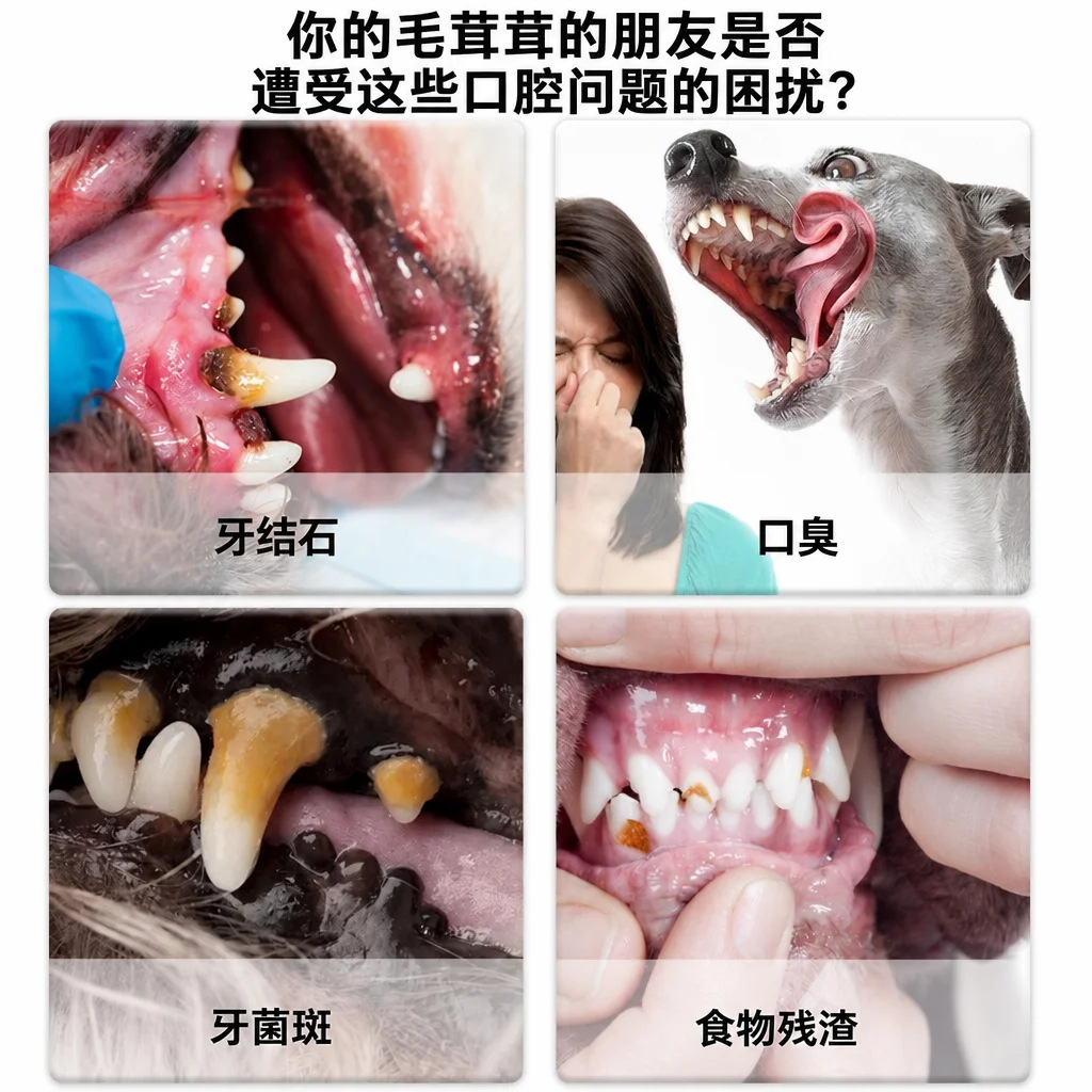 跨境宠物牙刷笔宠物洁牙笔通用猫咪狗狗牙结石美牙笔口腔清洁护理