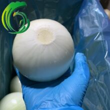 剥皮洋葱 工厂直供 甘肃产地 备案种植基地 出口韩国 日本 东南亚