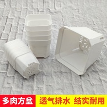 �S�����l�˽ǼӺ�С�׷����⻨���غ����Ϸ���ֲ���~��������