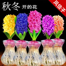 �L����ˮ��N�����b�҃�ˮ�Bֲ���ļ��_�����������Ի��N��ˮ�ɻ�
