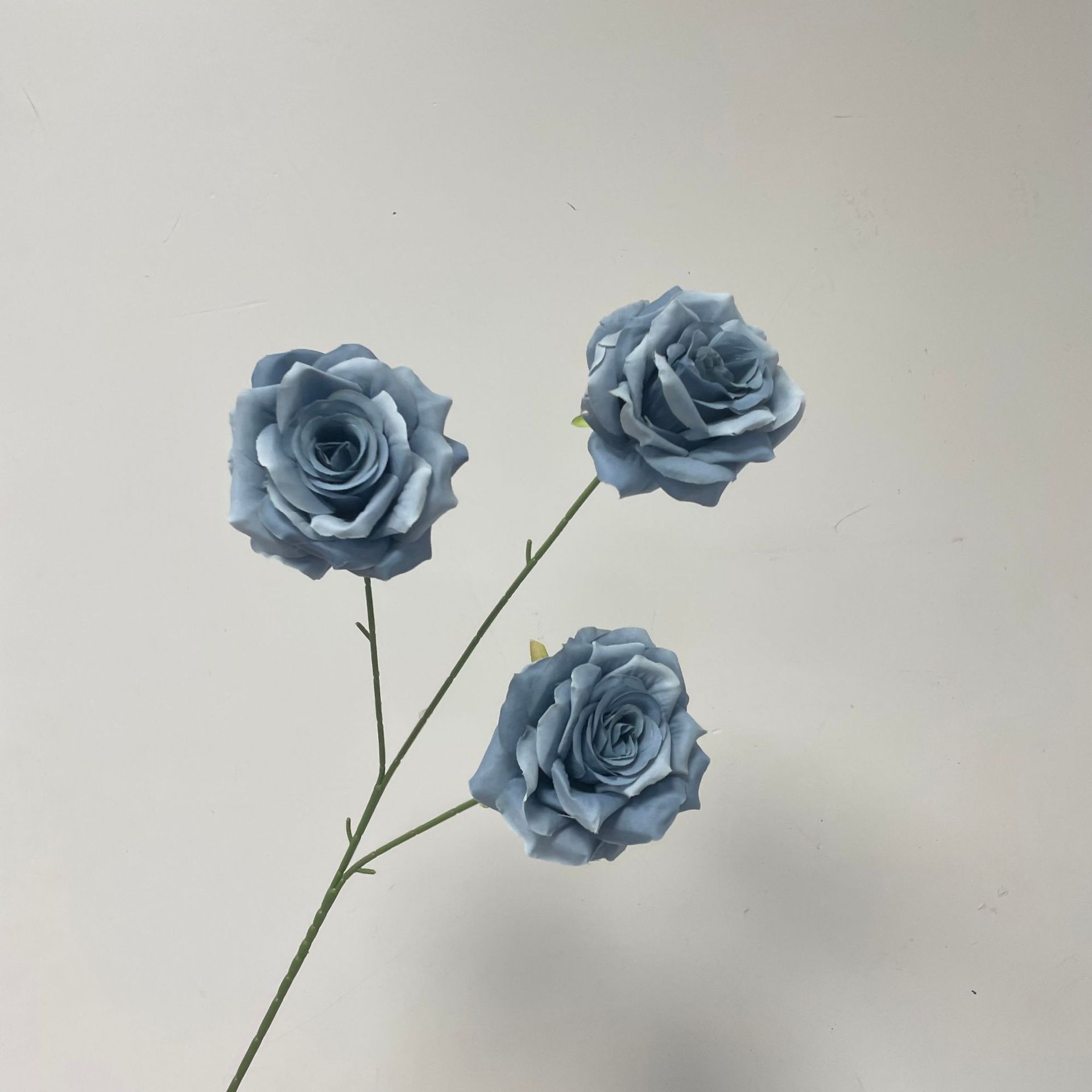 3 머리 왼쪽 장미 안개 블루