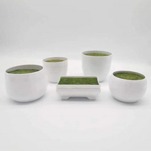 ���滨ֲ���辰���ϻ������Ի����廨DIY��Ʒ ����ĭ�A�����@ˇ