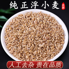 浮小麦中药材正品500克特级浮麦小麦粉浮水麦另售麦芽稻芽山楂圈