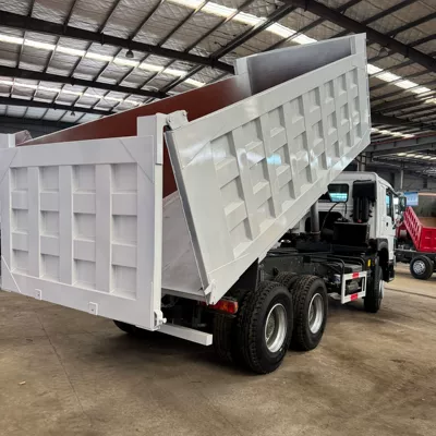 Trucks to Africa, 371 Horsepower, Yük maşınları