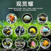 �^�p���O�������S����R���[���w�ݺڽ����ʵ����坍���幤����