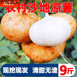 �V���������r�����F�ڮ����߲�9��׵عϷ������l���]���Ĵ��