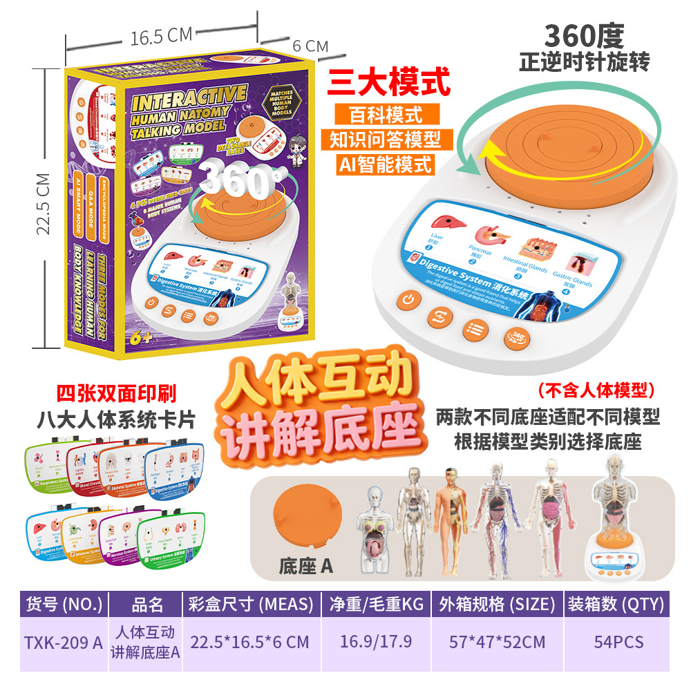 Juguetes transfronterizos Educación temprana Órganos humanos Modelos esqueléticos Conjunto de ciencia y educación Estudiantes de primaria y secundaria Ensamblaje de bricolaje Rompecabezas para niños
