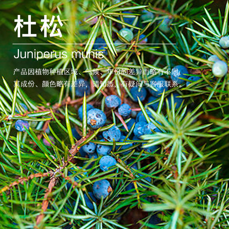 ��Ӧ���ɴ�¶  ֲ������  ���ɴ�¶  ��ӭ��ѯ��ⱸ������