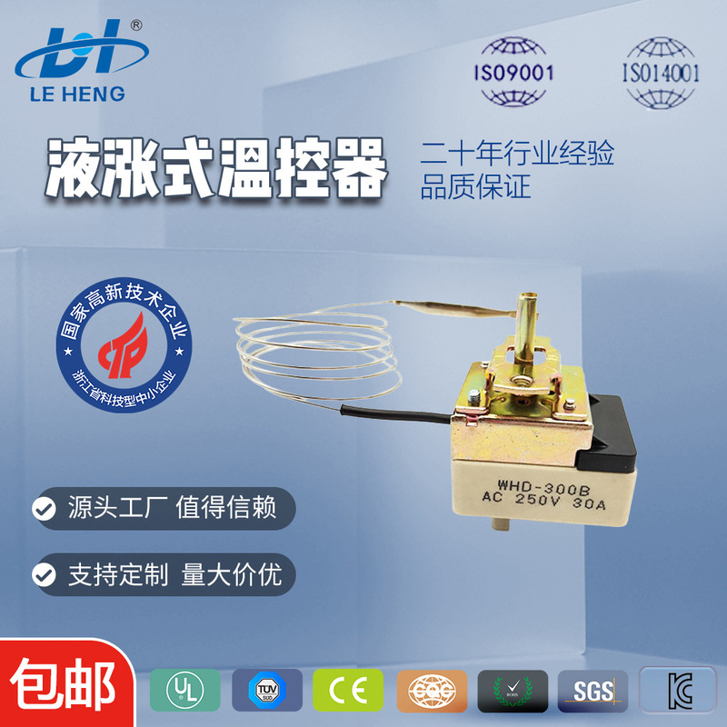 Whd-300B 30A Rate Temperature Control Fryer Capillary Thermostat with Knob Switch