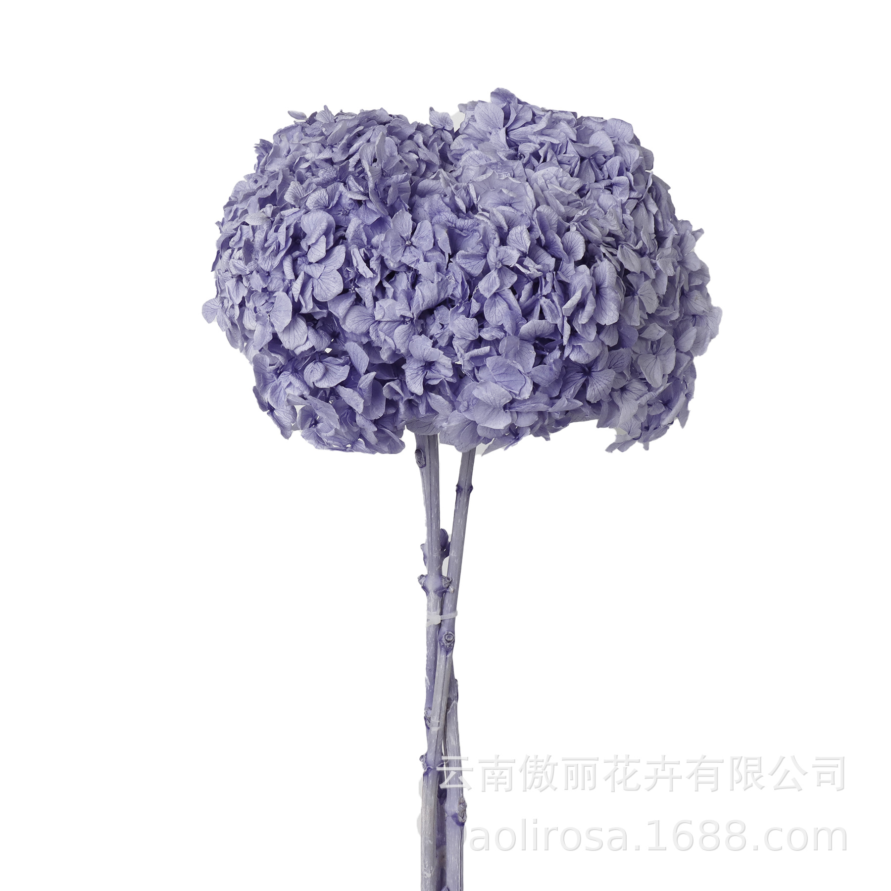 Hortensia de hoja grande flor permanente sola Hortensia con varilla decoración boda decoración floral DIY flor material fábrica al por mayor