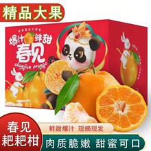 �Ĵ����ٳ�˹֮������rˮ�����ӱ�Ƥ��֪����Ӵ�����䡾���䡿