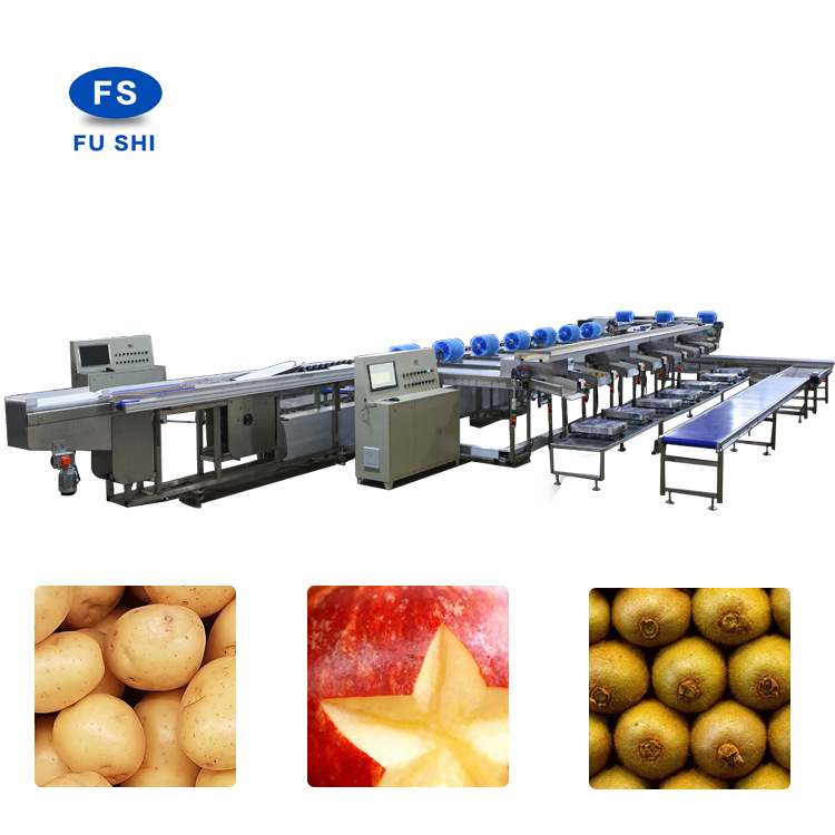 批发供应FGX-DZS型双线电子水果分选线 水果分选机 清洗分选机