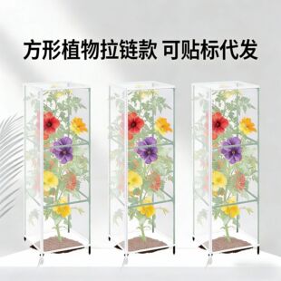 �羳���x�W���R�d����ֲ����ӷ��x�W��С������B�W�r�÷N�˳��K